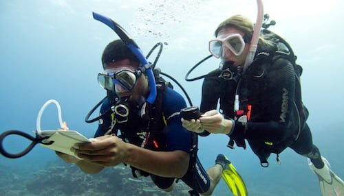 RDS button duikopleiding Padi Open Water RDS button duikopleiding Padi Open Water